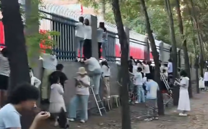 "Có nhất thiết phải thế này không?"