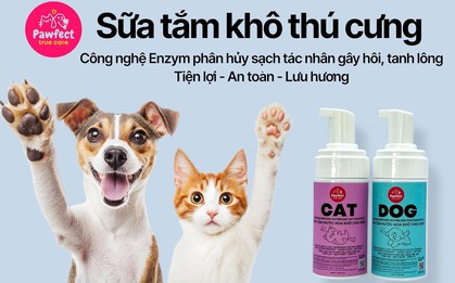 Sữa tắm khô - Giải pháp cho boss sợ nước và sen bận rộn