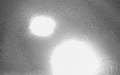 Đặt camera ẩn trong rừng hoang, phát hiện hình ảnh sốc