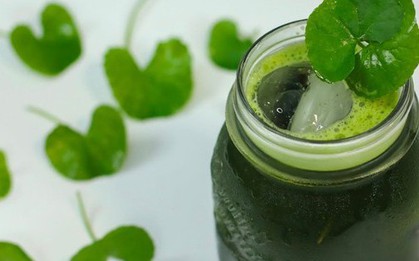 Phụ nữ uống nước rau má vào "thời điểm vàng" này sẽ giúp "hồi xuân", cơ thể căng đầy collagen, da căng bóng