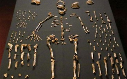 Một loài khác biết chôn người chết trước cả chúng ta?