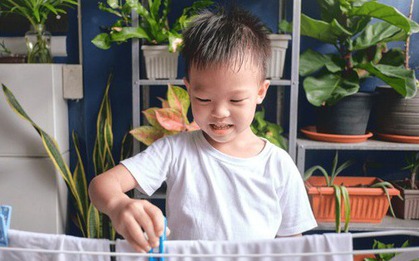 3 dấu hiệu XUNG QUANH NHÀ cho thấy con cái tương lai sẽ thành đạt - Hoàn toàn không phải mê tín