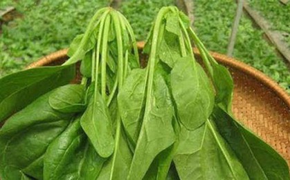 Loại rau được gọi là "siêu thực phẩm" cực tốt với sức khỏe con người
