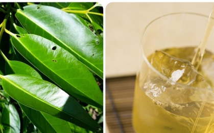 2 thời điểm không nên uống nước lá vối