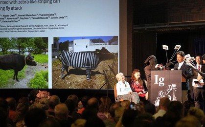 Tôn vinh các nghiên cứu "khiến người ta bật cười rồi suy ngẫm"