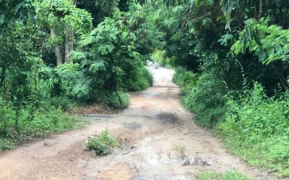 Sau tiếng la hét thất thanh, người dân phát hiện 2 mẹ con nằm gục trên vũng máu ở TP.HCM