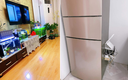 Đặt 4 thứ này cạnh bộ phát wifi, bảo sao mạng yếu xìu, chạy chậm như rùa bò: Rất nhiều nhà đang mắc phải!