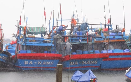 Ứng phó siêu bão Ragasa: Đà Nẵng sẵn sàng cấm biển, Lào Cai sẽ di dời dân để tránh sạt lở