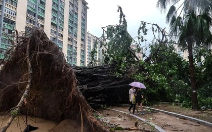 Bão Ragasa đổ bộ miền Nam Trung Quốc sau khi khiến 17 người thiệt mạng tại Đài Loan (Trung Quốc)