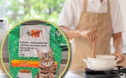 Chàng trai ăn thức ăn cho mèo để tiết kiệm tiền khi học tiến sỹ ở nước ngoài