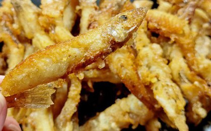 Đi chợ mua cá, nhớ kỹ 4 loại này toàn hàng “xịn”, dinh dưỡng cao, lại không thể nuôi nhân tạo, gặp là nên mua ngay