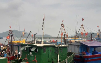 Bão số 10 Bualoi giật cấp 15, sóng biển cao 8-10 m: Hỏa tốc cấm tàu thuyền ra khơi