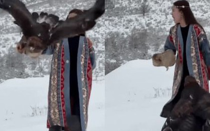 Chú chim đầu tiên được lên hot search xứ Trung vì thái độ cực gắt với du khách