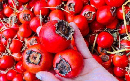 Đừng lầm tưởng! 3 loại trái cây nhiều người ăn để giảm cân lại khiến đường huyết tăng vọt