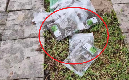 Nhìn thấy 16 chiếc túi nilon ở trước nhà, người phụ nữ nhanh chóng cùng chồng thông báo với chính quyền