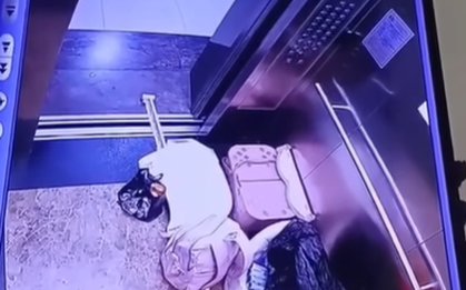 Chuyên gia thang máy nói về "lỗi sai chết người" của người phụ nữ trong đoạn clip đang gây bão MXH