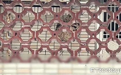 Dọn dẹp ban công, người phụ nữ bị "sinh vật lạ" tấn công phải nhập viện