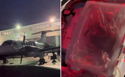 Clip trái tim đang đập trong hộp chờ cấy ghép thu hút 24 triệu lượt thích