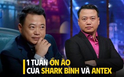 Shark Bình ồn ào