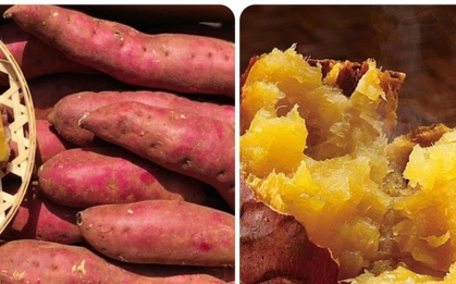 Mỗi ngày ăn một củ khoai lang có tác dụng gì?