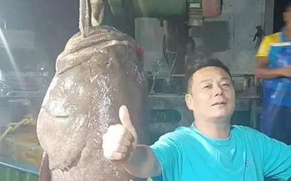 Người đàn ông bắt được "quái ngư" dài 1,8m, bán vội có ngay gần 130 triệu đồng