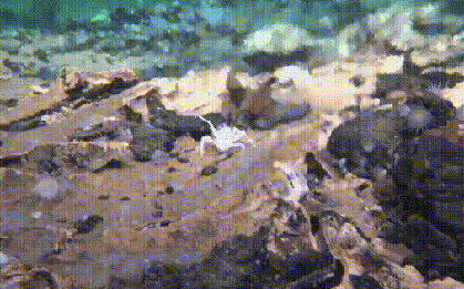 Tàu ngầm Trung Quốc tìm ra nơi chứa bí mật về sự sống