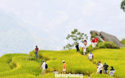 Du khách đổ về Y Tý, đắm chìm với ruộng bậc thang đẹp nhất Tây Bắc