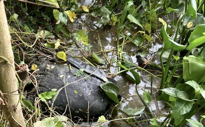 Lời khai kẻ giết người tình rồi chở thi thể hơn 70km phi tang xuống kênh