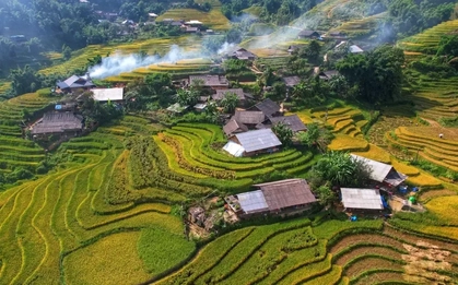 Lúa chín vàng, thơm ngát ở ngôi làng Việt đẹp nhất châu Á