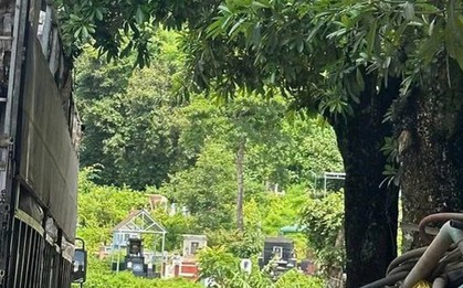 Phát hiện thi thể đang phân hủy trong nghĩa trang