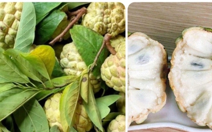 Quả na thơm ngon bổ dưỡng nhưng lại 'đại kỵ' với nhóm người này