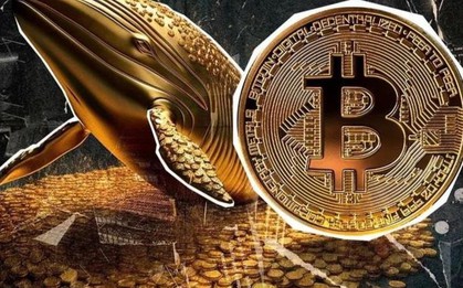 Bitcoin (BTC) là gì? Tất cả những điều cơ bản nhà đầu tư cần biết