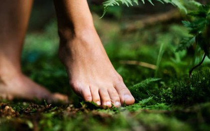 Mỗi sáng chỉ cần ra bãi cỏ làm việc “miễn phí” này, vừa ngủ ngon lại giảm stress cực rõ, duy trì lâu dài còn sống thọ hơn