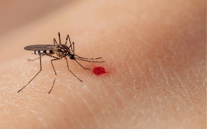 Sốt xuất huyết, tay chân miệng tại TP Hồ Chí Minh giảm