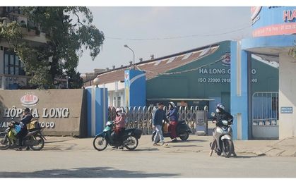 Công nhân tại Công ty CP Đồ hộp Hạ Long