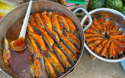 Chuyên gia Mỹ tiết lộ loại cá tốt nhất thế giới, HƠN CÁ HỒI nhưng giá cực rẻ: Việt Nam rất sẵn!