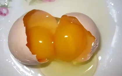 Trứng hai lòng đỏ hay trứng một lòng đỏ: Loại nào bổ hơn?