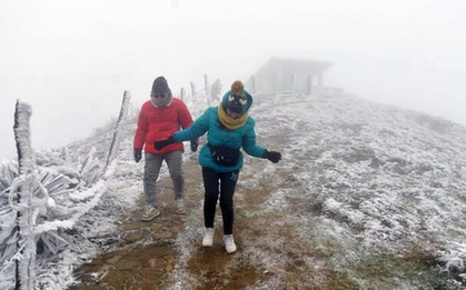 Miền Bắc đón không khí lạnh cực mạnh, bỏ túi ngay 2 "siêu thực" chống cảm lạnh tuyệt vời