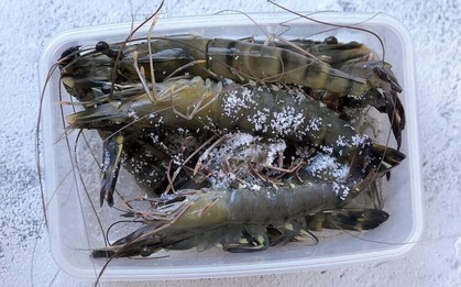 Tôm mua về ĐỪNG vội cho vào tủ lạnh: Thêm đúng 1 thứ này, tôm để lâu vẫn tươi như mới