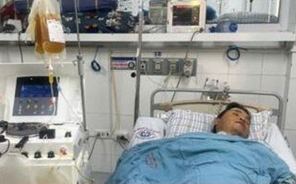 Tách huyết tương cứu người bệnh suy gan cấp nguy kịch