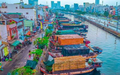 TPHCM có những chợ hoa, đường hoa nào dịp Tết Bính Ngọ 2026?