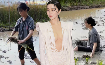 Hết cứu Phạm Băng Băng