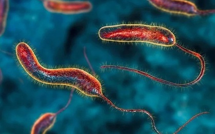 Phát hiện một chất tự nhiên có thể làm teo khối u ung thư