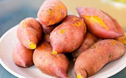 Kho dinh dưỡng từ khoai lang giúp tăng tuổi thọ