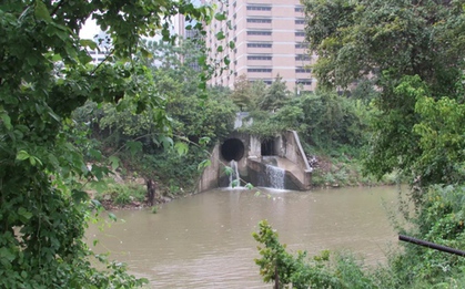 Hơn 30 thi thể vớt từ sông rạch Houston, gây lo ngại về kẻ giết người hàng loạt