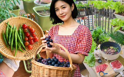 Tôi bắt đầu trồng rau tại nhà vì nghĩ cho vui, 3 tháng sau nhận ra mình đã tiết kiệm được một khoản không nhỏ