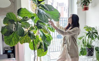 6 dấu hiệu nhà hợp long mạch, càng ở càng giàu