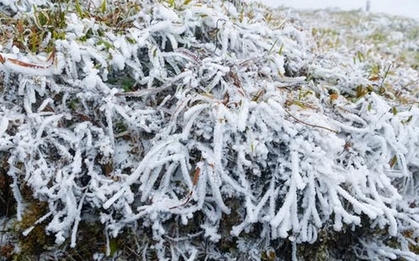 Tin gió mùa đông bắc mới nhất: Bao giờ miền Bắc chuyển mưa rét đến 6 độ C?