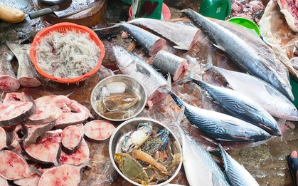 Người bán cá rất sợ bạn hỏi 5 câu này khi đi chợ