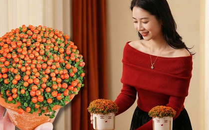 "Bảo bối" phong thủy mới cho Tết Bính Ngọ 2026: Tên nghe sang chảnh, bé xíu xiu mà hút lộc cả năm